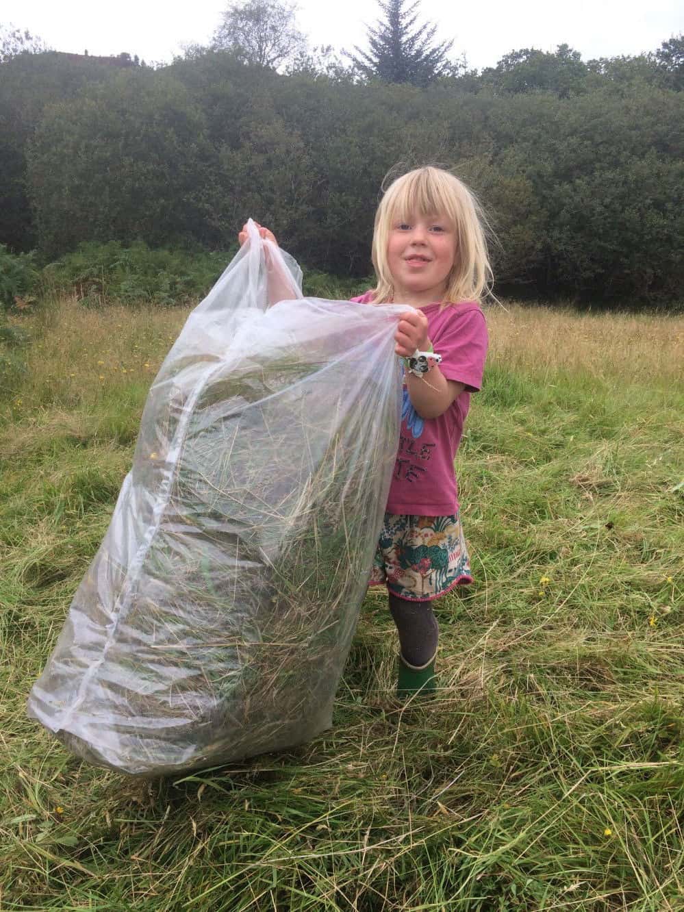 Friends of Glenan Wood - grass cutting supervisor