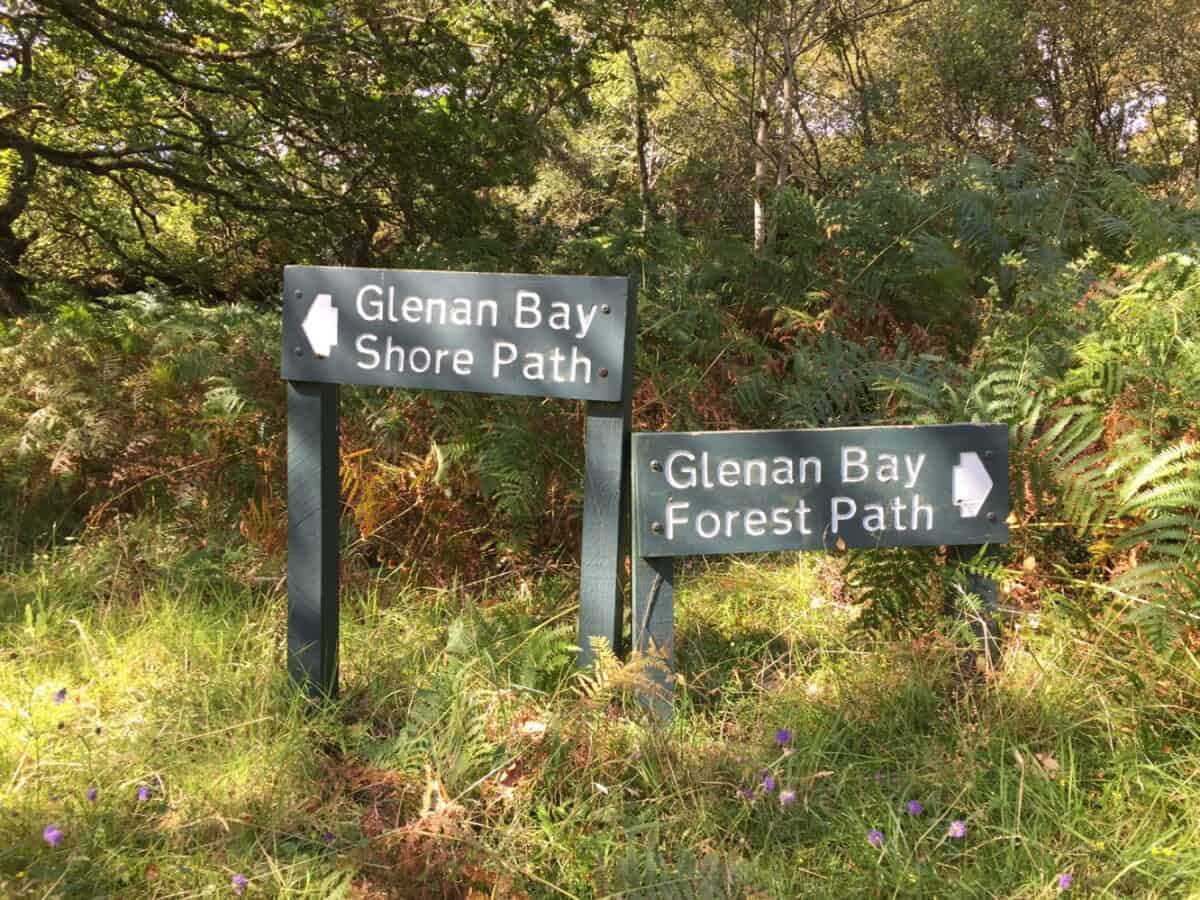 Friends of Glenan Wood - path signs