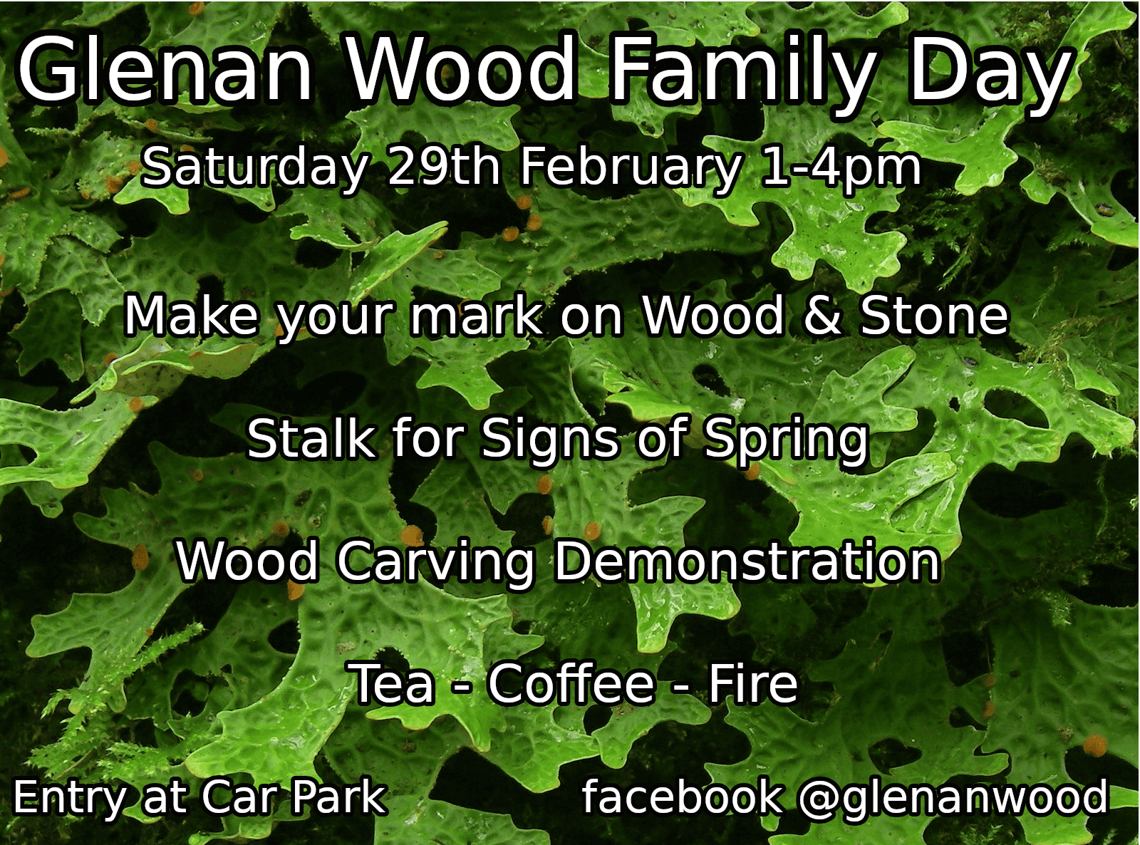 Friends of Glenan Wood - Family Day
